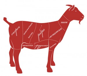 Схема как разделать козу. Козлятина. Разделка туши. Вкус и запах мяса. Фасовка и хранение козьего мяса. Свой опыт выращивания коз на мясо.