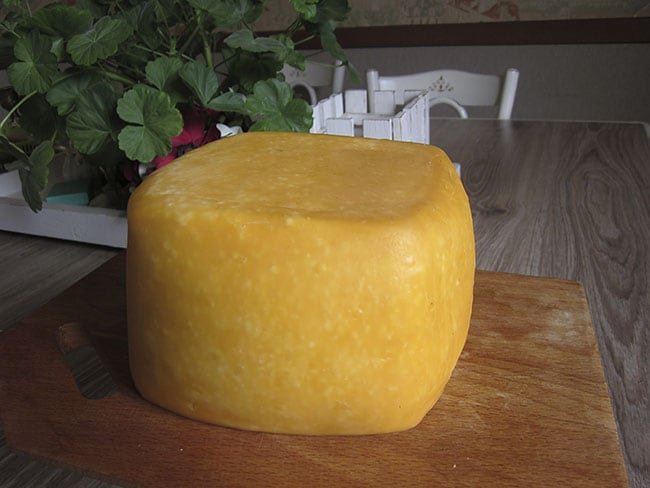 Домашний сыр из козьего молока фото 