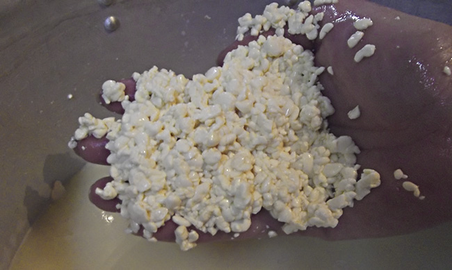 Как сделать Адыгейский сыр на ферменте